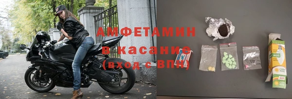 индика Пестово