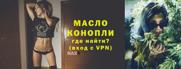 индика Пестово