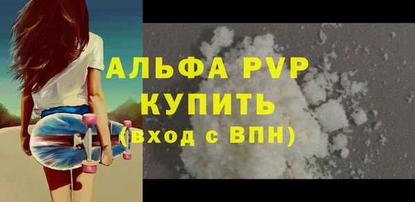 индика Пестово