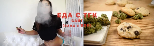 индика Пестово