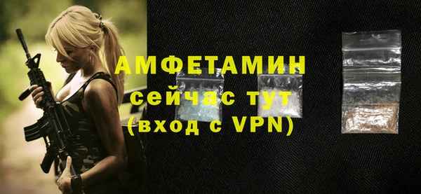 индика Пестово
