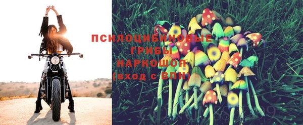 2c-b Пересвет