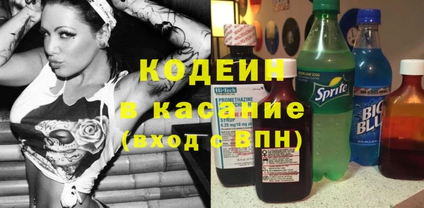 индика Пестово