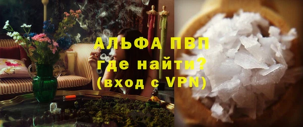 индика Пестово