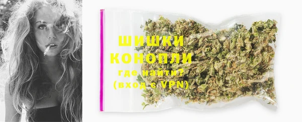 индика Пестово